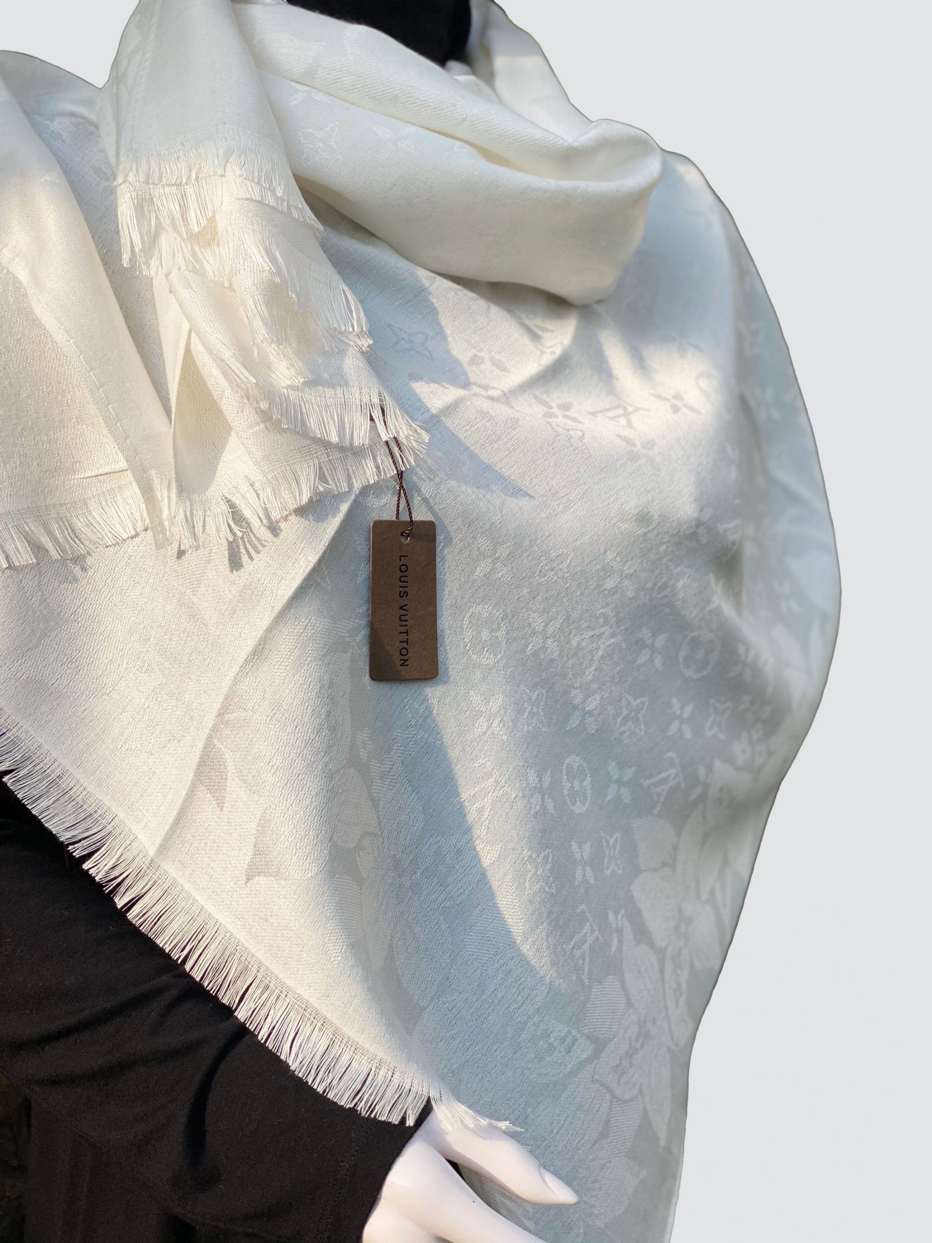 IMG_3293-1 louis vuitton scarf